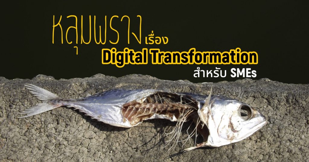 หลุมพราง เรื่อง digital transformation สำหรับ SMEs